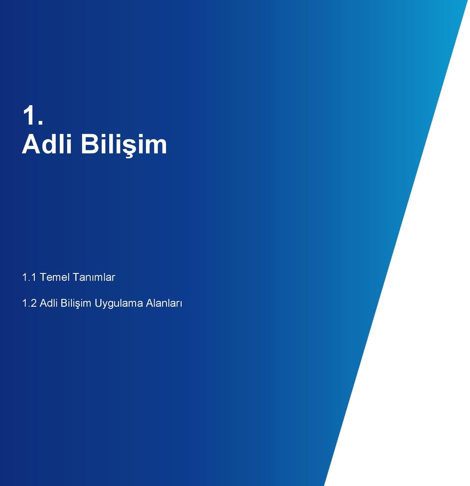 1.2 Adli Bilişim