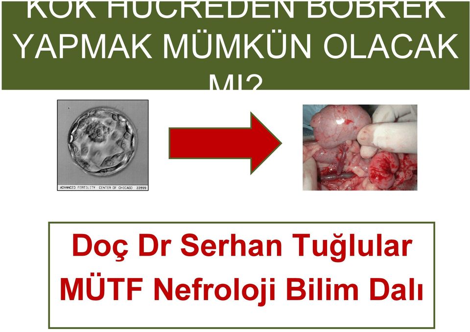 Doç Dr Serhan Tuğlular