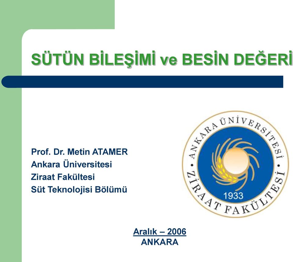 Metin ATAMER Ankara Üniversitesi