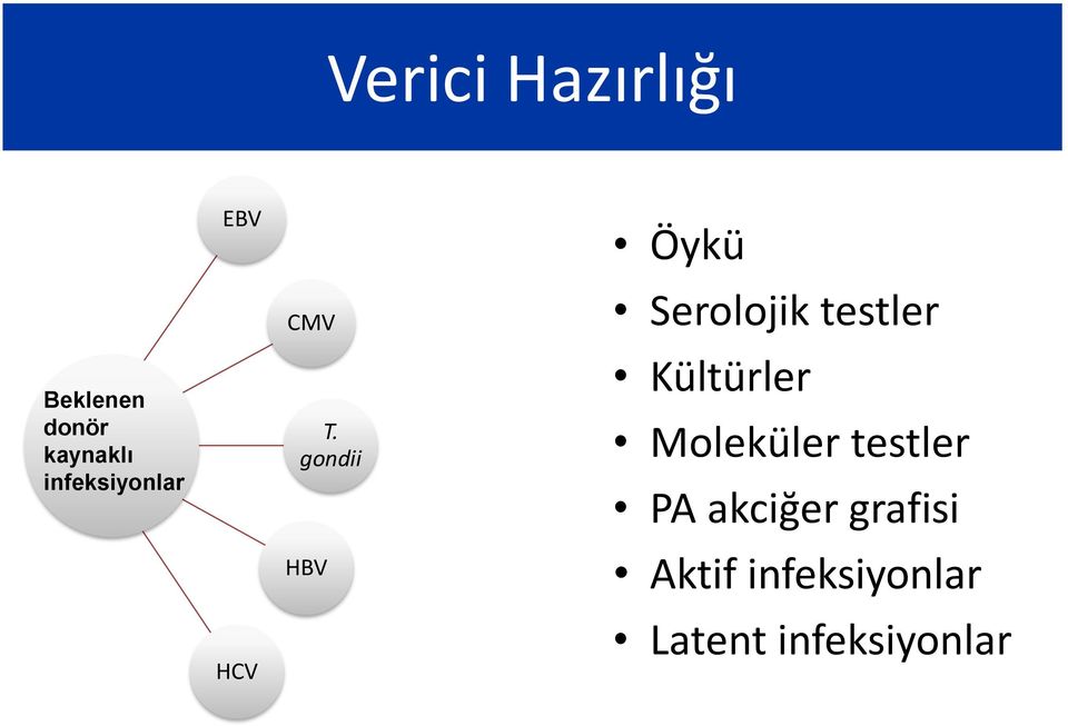 gondii HBV Öykü Serolojik testler Kültürler