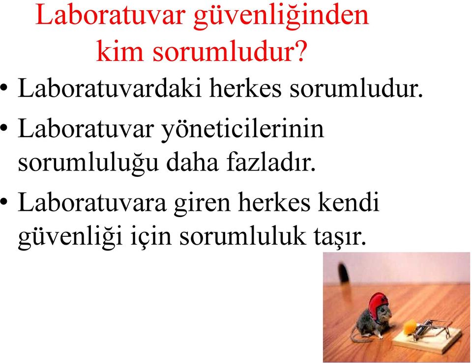 Laboratuvar yöneticilerinin sorumluluğu daha fazladır.