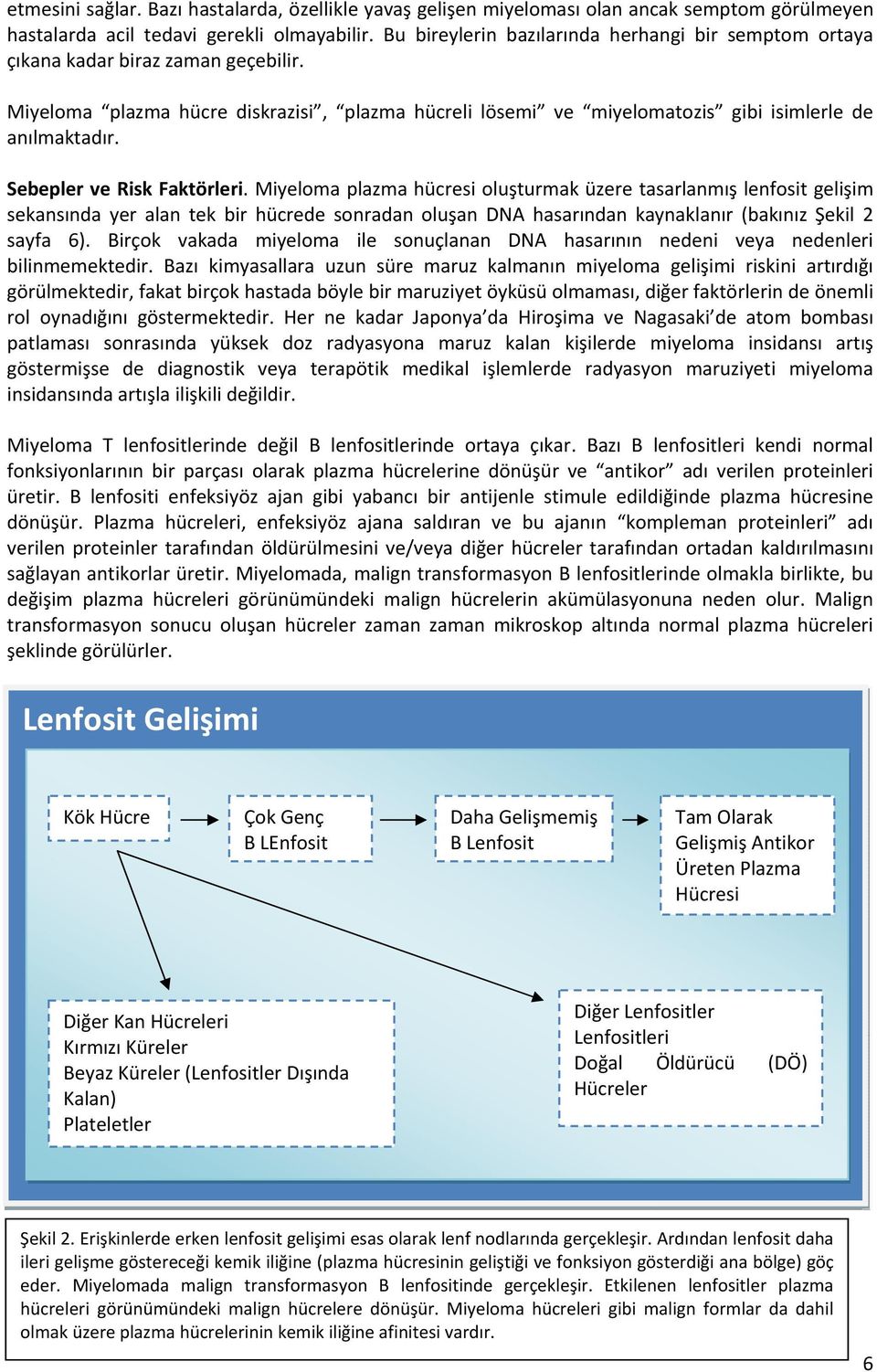 Sebepler ve Risk Faktörleri.