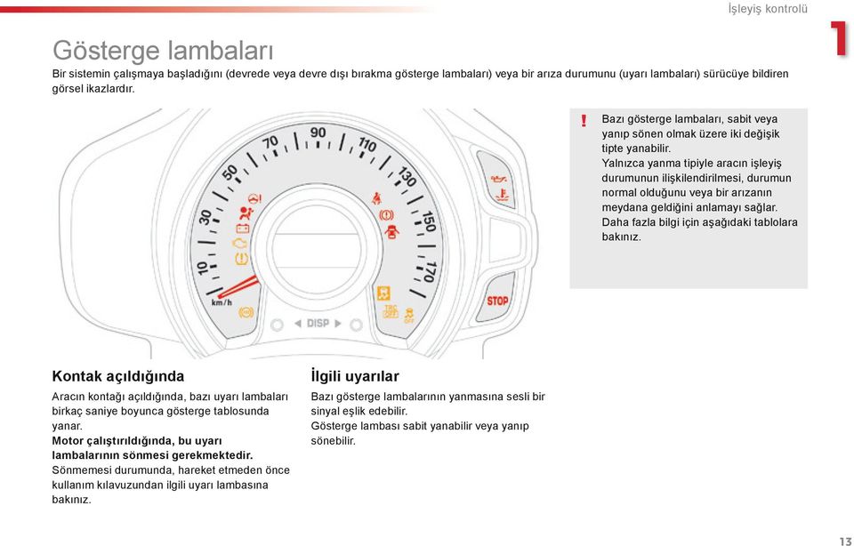 Yalnızca yanma tipiyle aracın işleyiş durumunun ilişkilendirilmesi, durumun normal olduğunu veya bir arızanın meydana geldiğini anlamayı sağlar. Daha fazla bilgi için aşağıdaki tablolara bakınız.