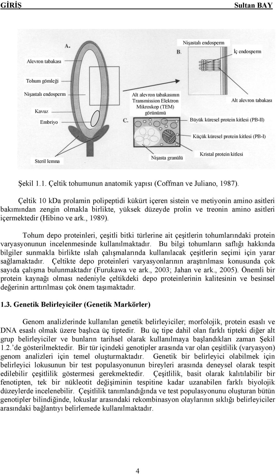 Çeltik 10 kda prolamin polipeptidi kükürt içeren sistein ve metiyonin amino asitleri bakımından zengin olmakla birlikte, yüksek düzeyde prolin ve treonin amino asitleri içermektedir (Hibino ve ark.