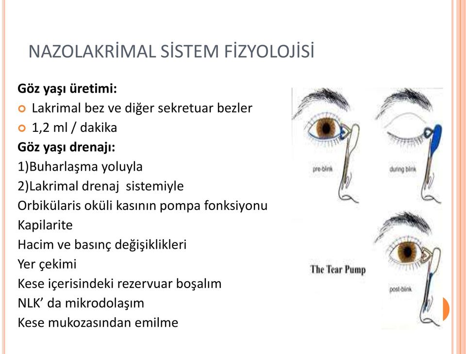 sistemiyle Orbikülaris oküli kasının pompa fonksiyonu Kapilarite Hacim ve basınç