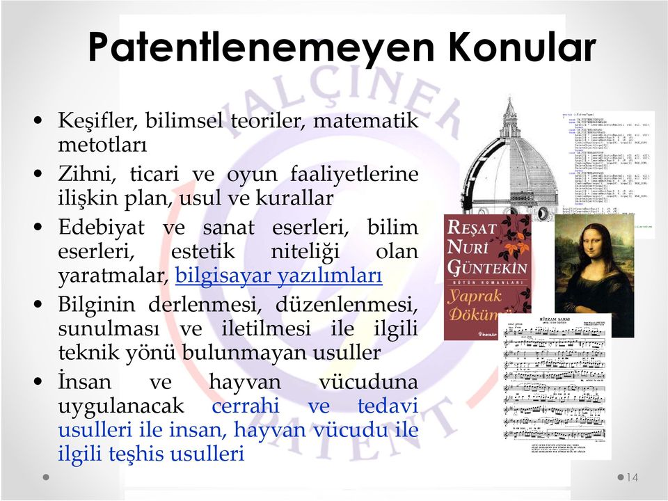 bilgisayar yazılımları Bilginin derlenmesi, düzenlenmesi, sunulması ve iletilmesi ile ilgili teknik yönü bulunmayan