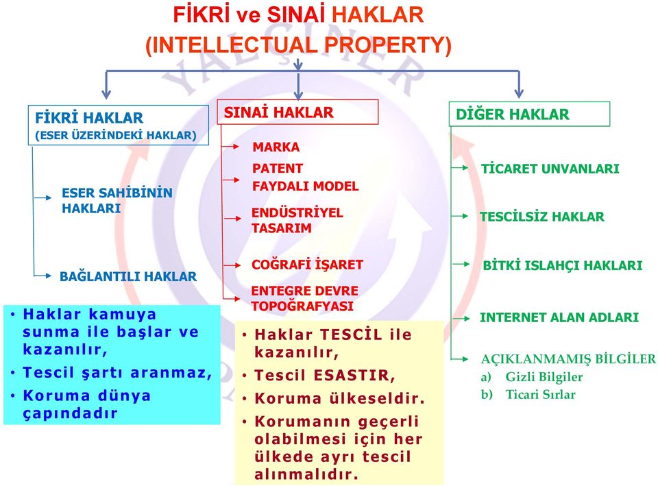 aranmaz, Koruma dünya çapındadı r COĞRAFİ İŞARET ENTEGRE DEVRE TOPOĞRAFYASI Haklar TESCİL ile kazanılır, Tescil ESASTIR, Koruma ülkeseldir.