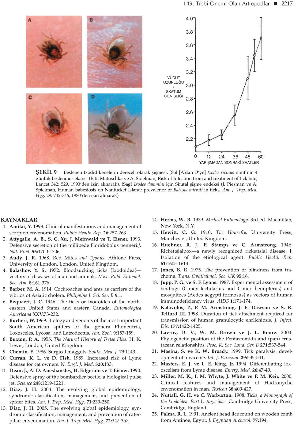 Spielman, Risk of Infection from and treatment of tick bite, Lancet 342: 529, 1993 den izin alınarak). (Sağ) Ixodes dammini için Skutal şişme endeksi (J. Piesman ve A.