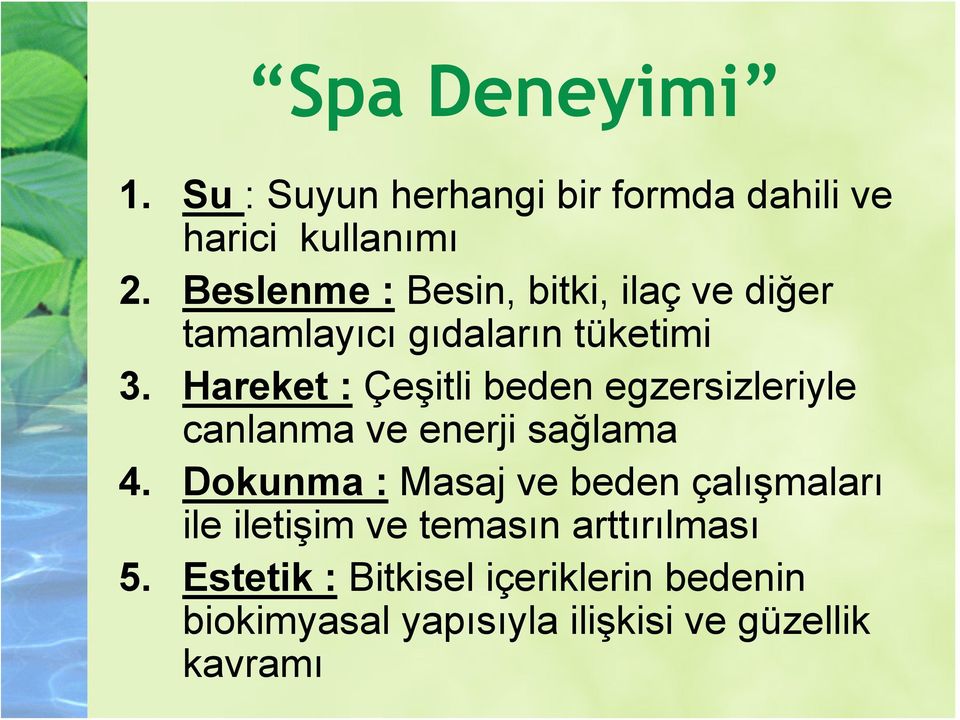 Hareket : Çeşitli beden egzersizleriyle canlanma ve enerji sağlama 4.