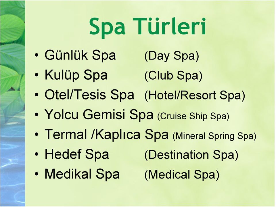 (CruiseShipSpa) Termal /Kaplıca Spa (Mineral Spring