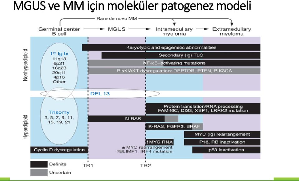 moleküler