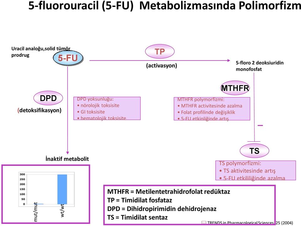azalma Folat profilinde değişiklik 5-FU etkinliğinde artış 300 250 200 150 100 50 0 İnaktif metabolit MTHFR = Metilentetrahidrofolat redüktaz TP = Timidilat fosfataz