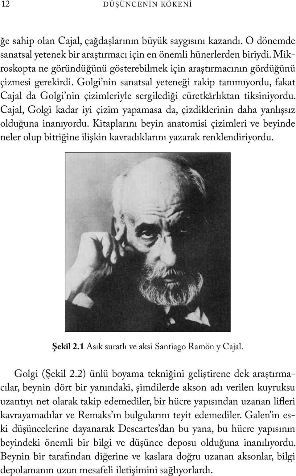 Golgi nin sanatsal yeteneği rakip tanımıyordu, fakat Cajal da Golgi nin çizimleriyle sergilediği cüretkârlıktan tiksiniyordu.