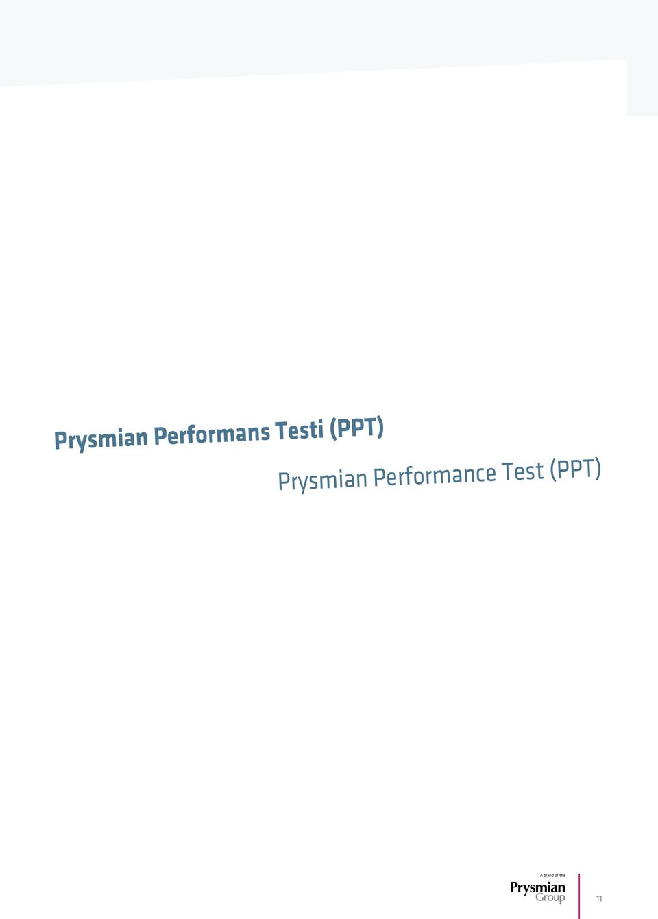 Performans Testi (PPT)