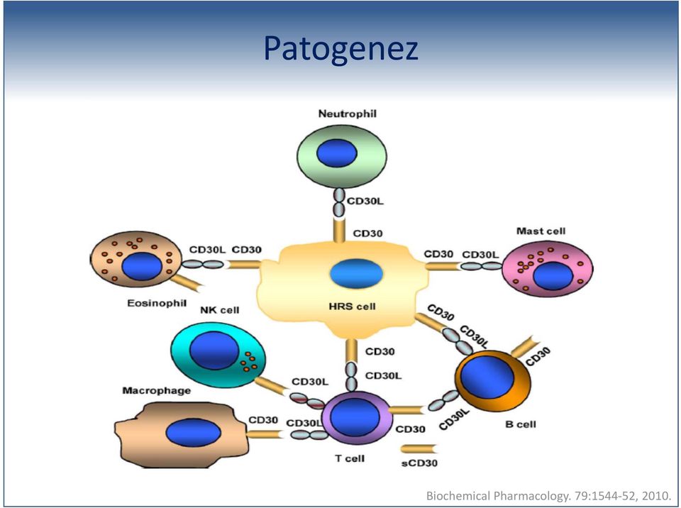 Pharmacology.