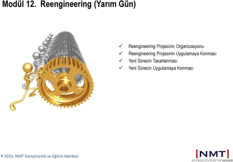 Projesinin Organizasyonu Reengineering