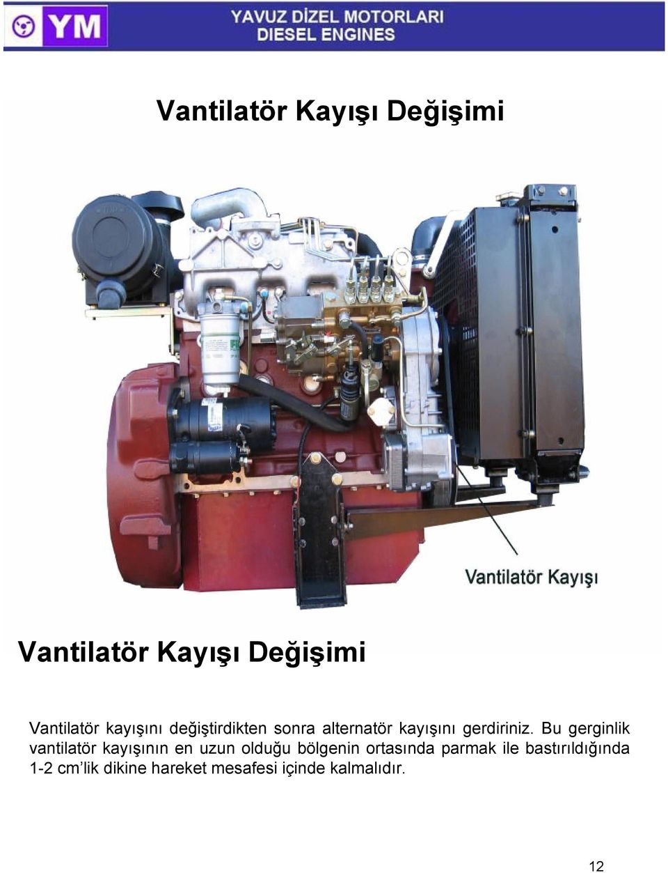 Bu gerginlik vantilatör kayışının en uzun olduğu bölgenin ortasında