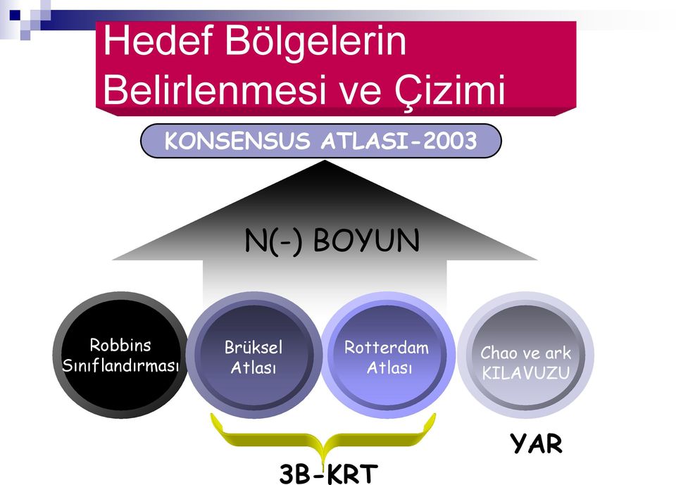 Robbins Sınıflandırması Brüksel Atlası