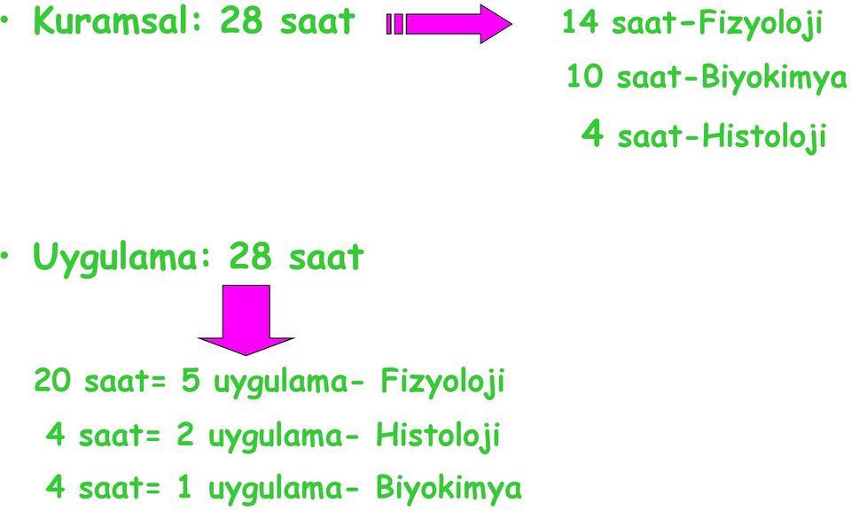 saat 20 saat= 5 uygulama- Fizyoloji 4 saat=