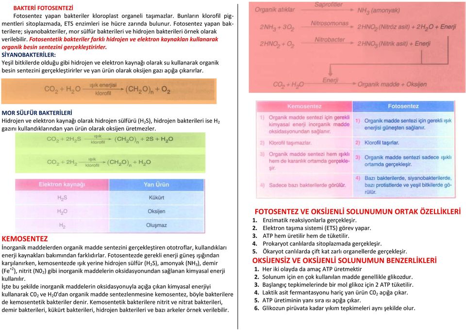 Fotosentetik bakteriler farklı hidrojen ve elektron kaynaklan kullanarak organik besin sentezini gerçekleştirirler.