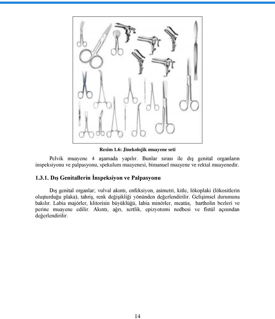 3.1. Dış Genitallerin İnspeksiyon ve Palpasyonu Dış genital organlar; vulval akıntı, enfeksiyon, asimetri, kitle, lökoplaki (lökositlerin oluşturduğu