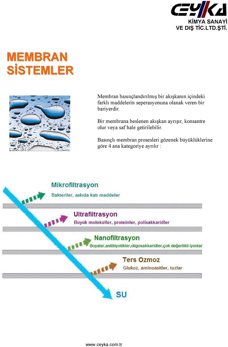 Bir membrana beslenen akışkan ayrışır, konsantre olur veya saf hale