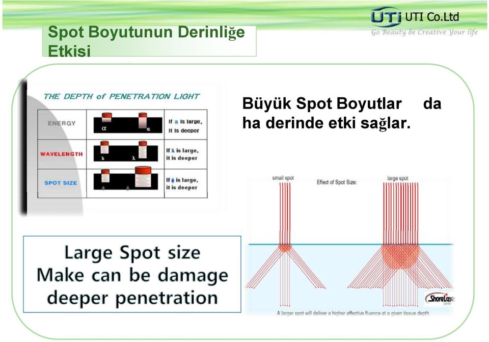 Büyük Spot Boyutlar