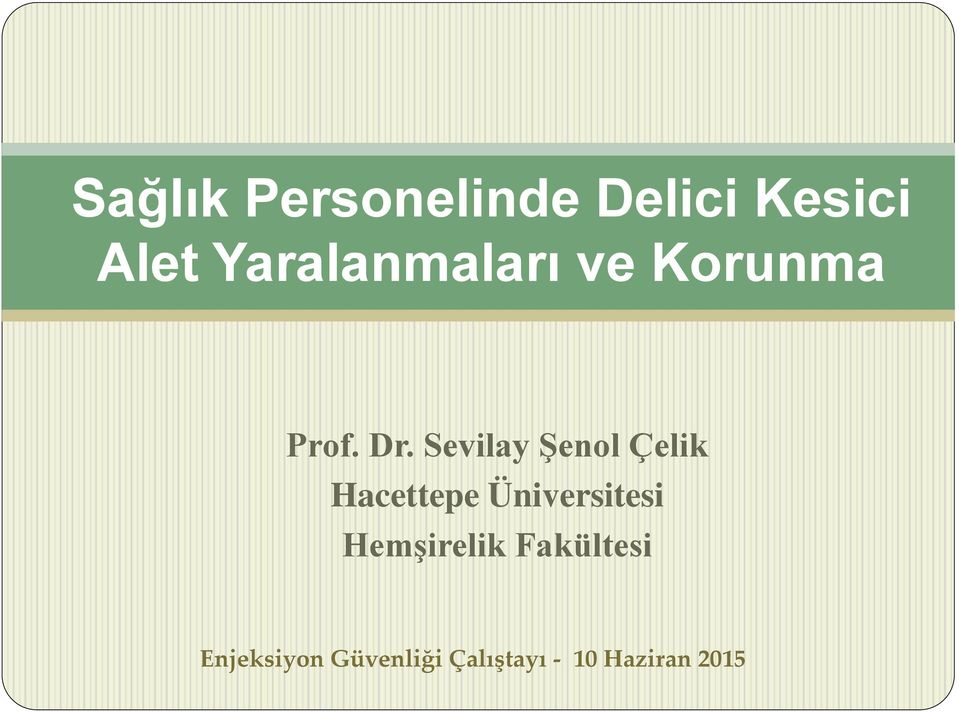 Sevilay Şenol Çelik Hacettepe Üniversitesi