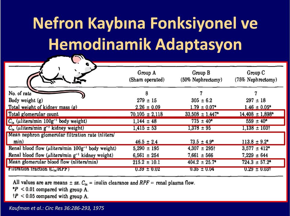 HemodinamikAdaptasyon