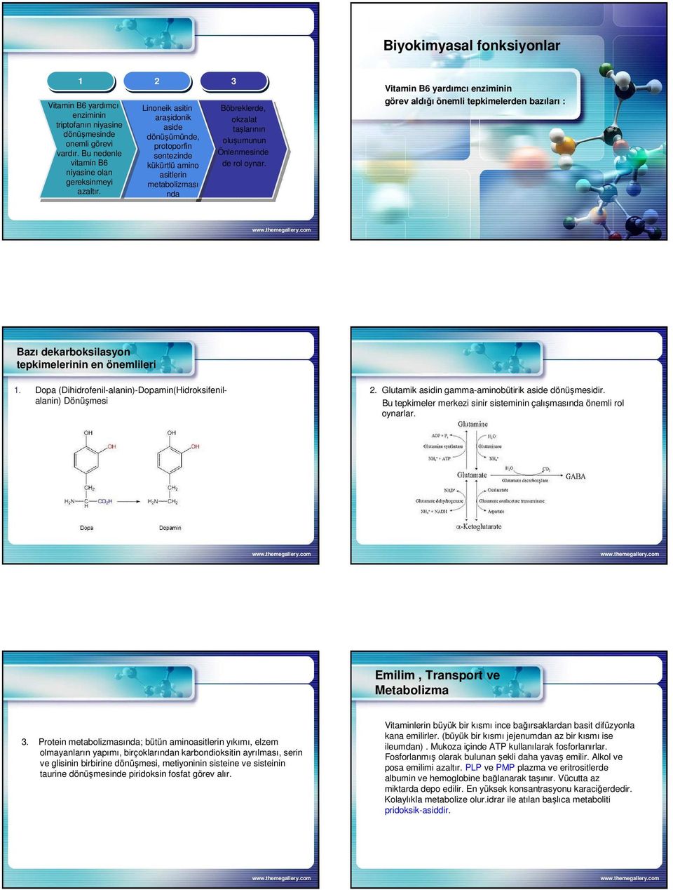 Vitamin B6 yardımcı enziminin görev aldığı önemli tepkimelerden bazıları : Bazı dekarboksilasyon tepkimelerinin en önemlileri 1. Dopa (Dihidrofenil-alanin)-Dopamin(Hidroksifenilalanin) Dönüşmesi 2.