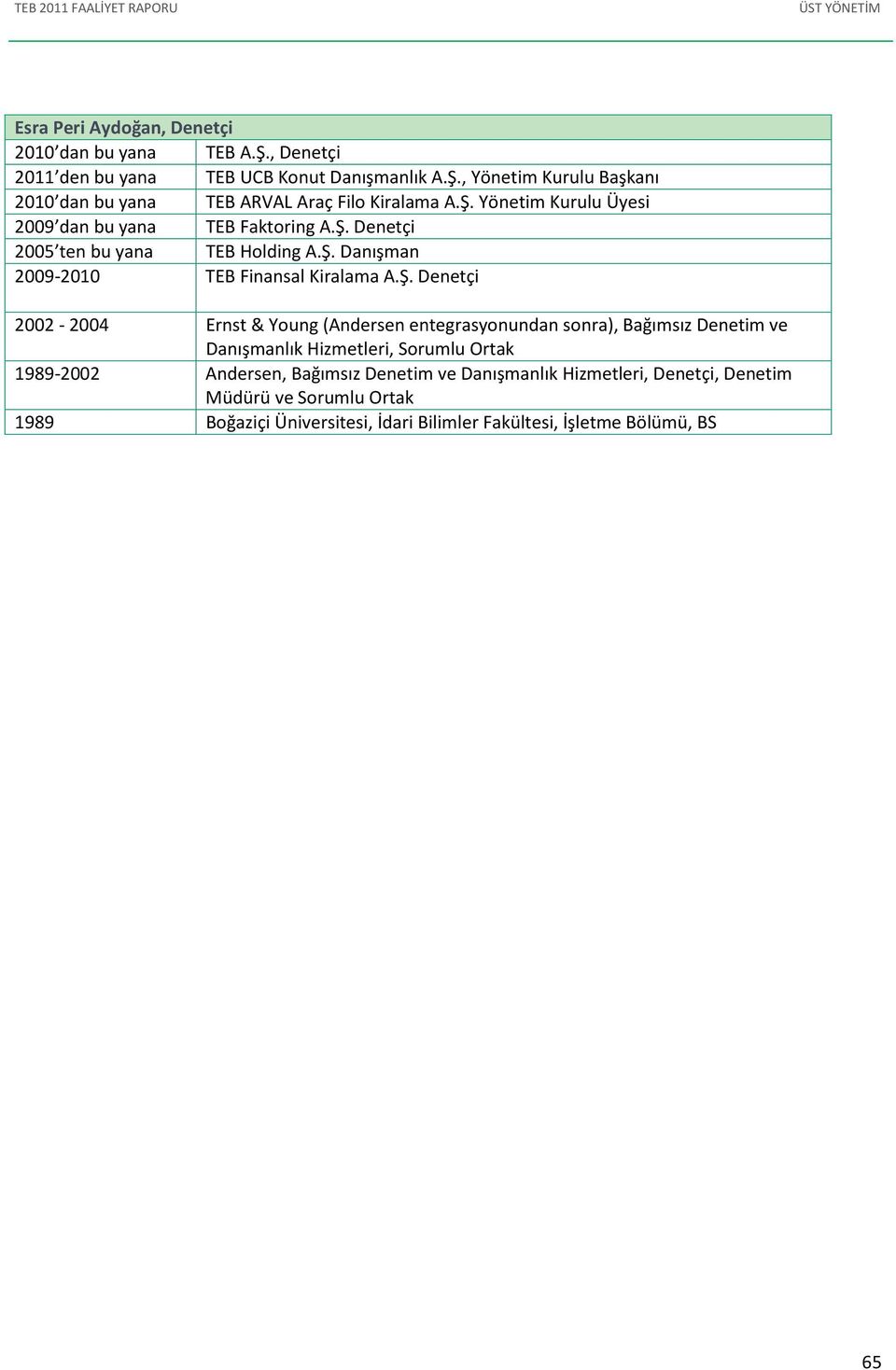 2002-2004 Ernst & Young (Andersen entegrasyonundan sonra), Bağımsız Denetim ve Danışmanlık Hizmetleri, Sorumlu Ortak 1989-2002 Andersen, Bağımsız Denetim ve