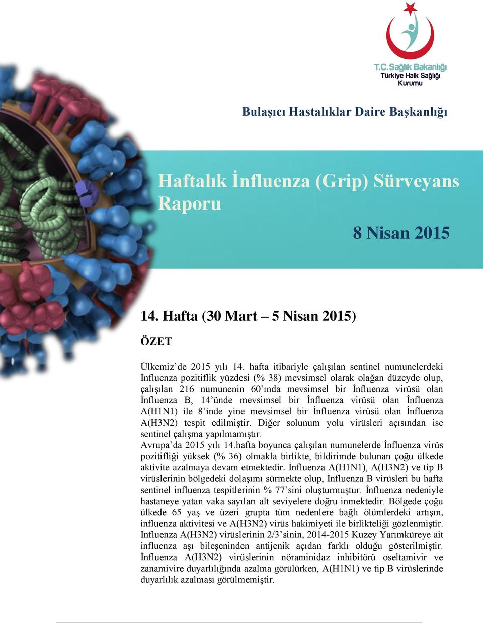 İnfluenza B, 14 ünde mevsimsel bir İnfluenza virüsü olan İnfluenza A(H1N1) ile 8 inde yine mevsimsel bir İnfluenza virüsü olan İnfluenza A(H3N2) tespit edilmiştir.