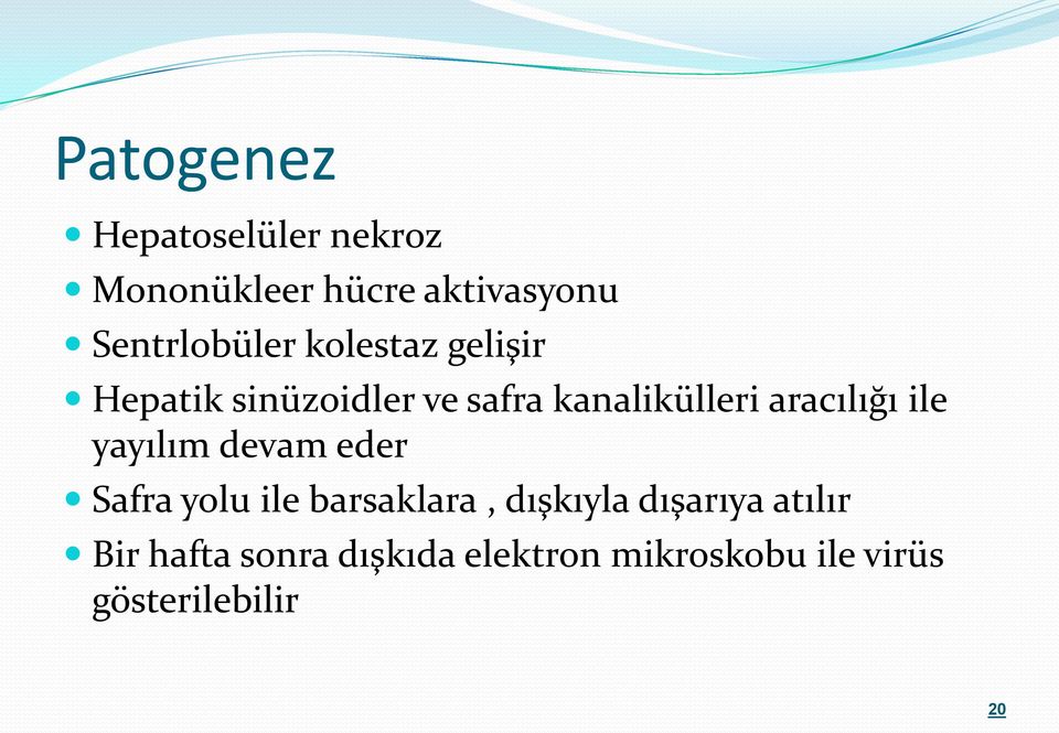 aracılığı ile yayılım devam eder Safra yolu ile barsaklara, dışkıyla