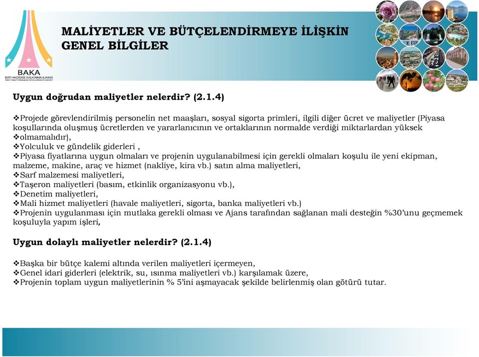 verdiği miktarlardan yüksek olmamalıdır), Yolculuk ve gündelik giderleri, Piyasa fiyatlarına uygun olmaları ve projenin uygulanabilmesi için gerekli olmaları koşulu ile yeni ekipman, malzeme, makine,