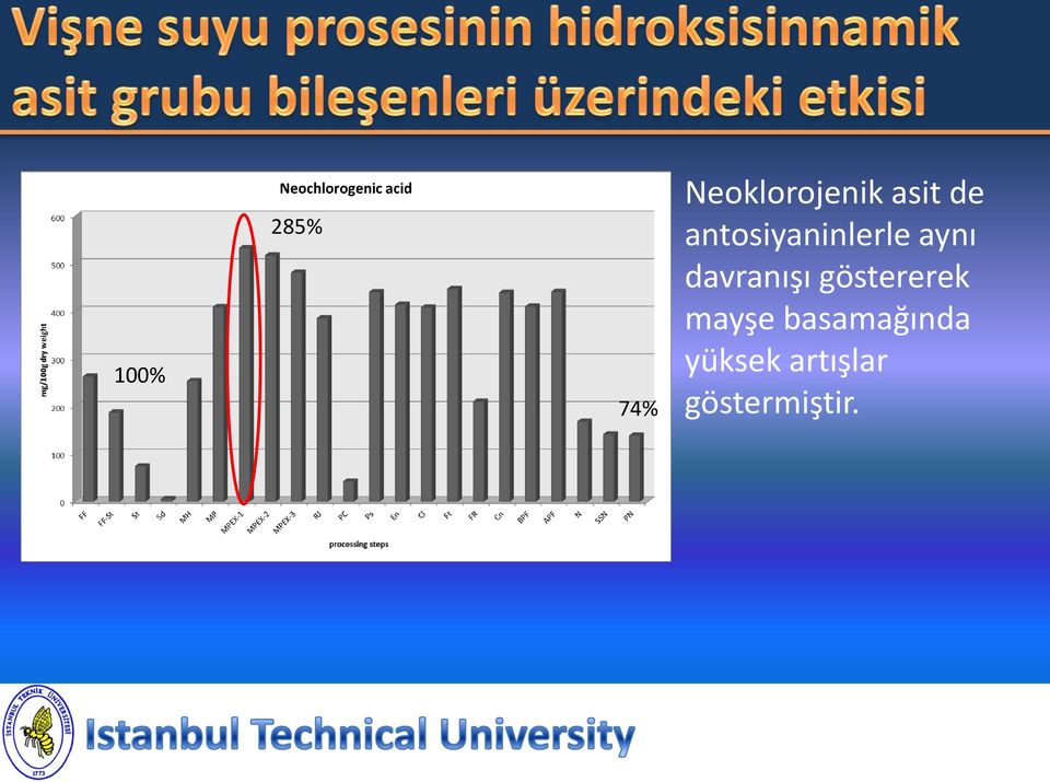 davranışı göstererek mayşe