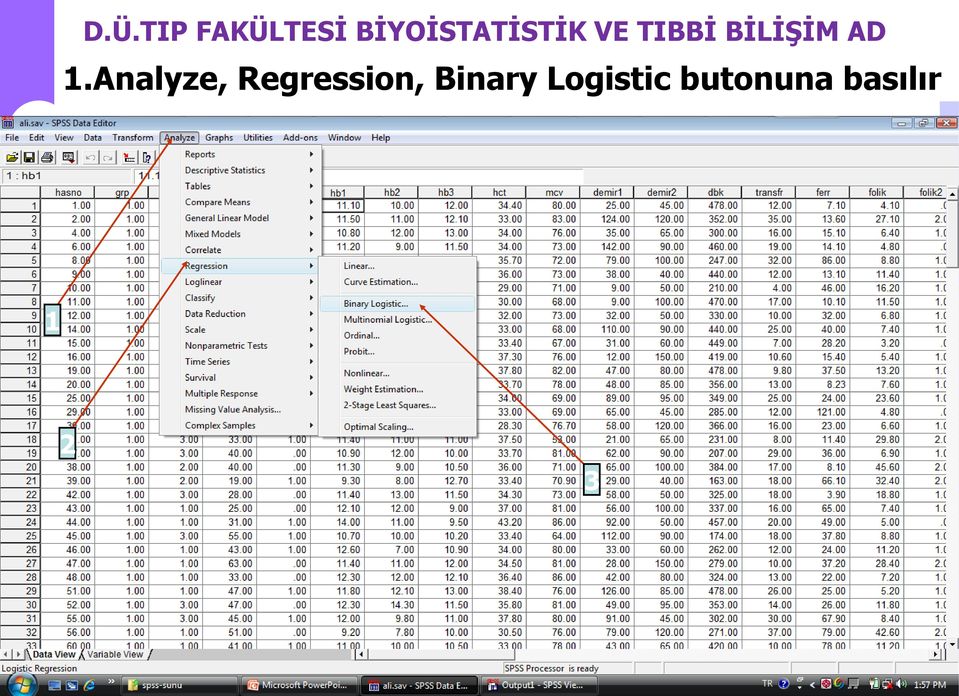 Binary Logistic