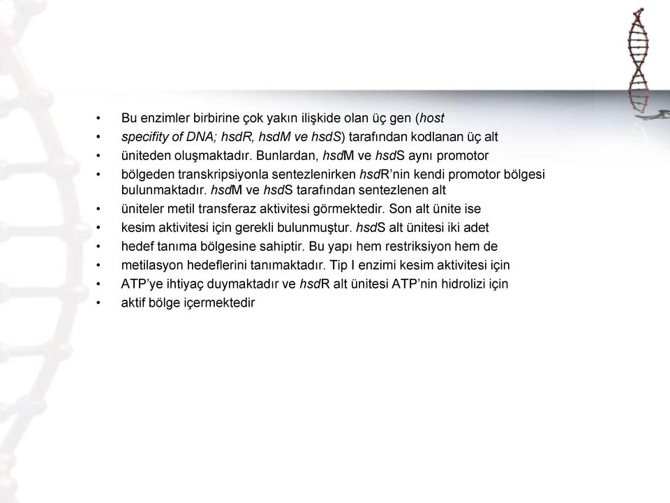 hsdm ve hsds tarafından sentezlenen alt üniteler metil transferaz aktivitesi görmektedir. Son alt ünite ise kesim aktivitesi için gerekli bulunmuģtur.