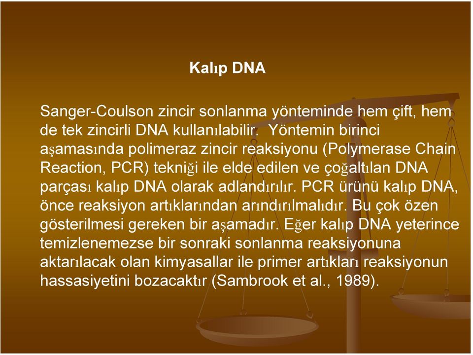 kalıp DNA olarak adlandırılır. PCR ürünü kalıp DNA, önce reaksiyon artıklarından arındırılmalıdır.