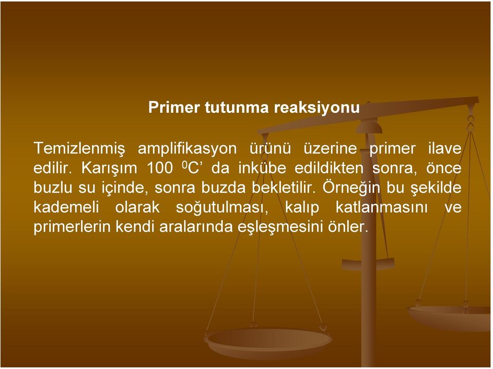 Karışım 100 0 C da inkübe edildikten sonra, önce buzlu su içinde, sonra