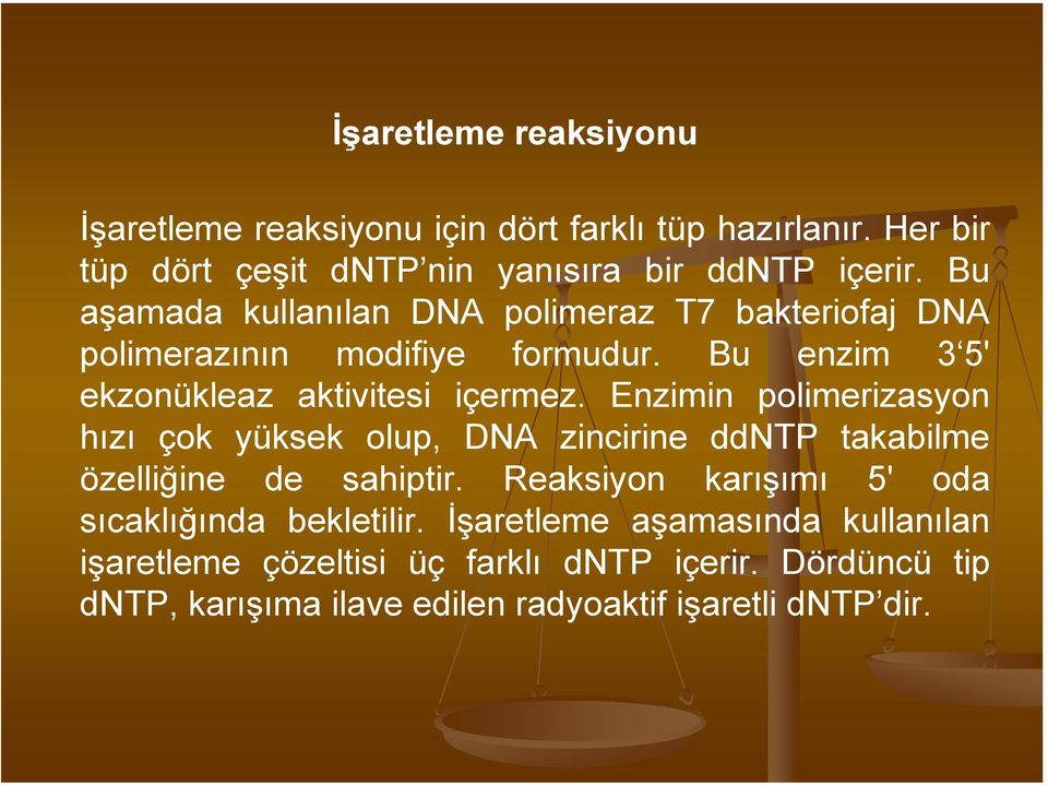 Enzimin polimerizasyon hızı çok yüksek olup, DNA zincirine ddntp takabilme özelliğine de sahiptir.