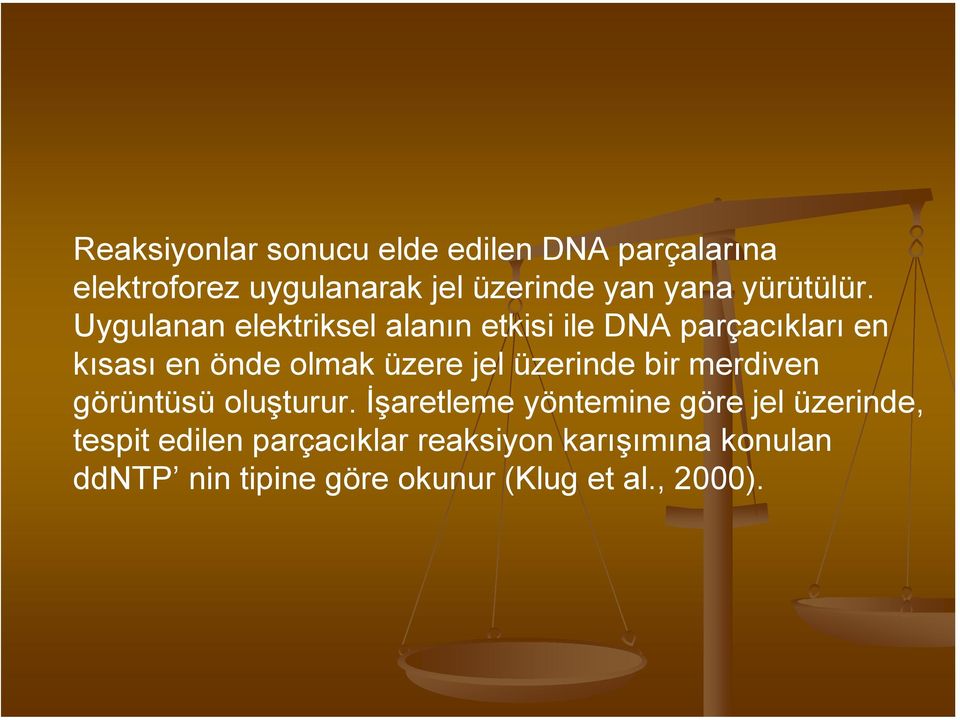 Uygulanan elektriksel alanın etkisi ile DNA parçacıkları en kısası en önde olmak üzere jel