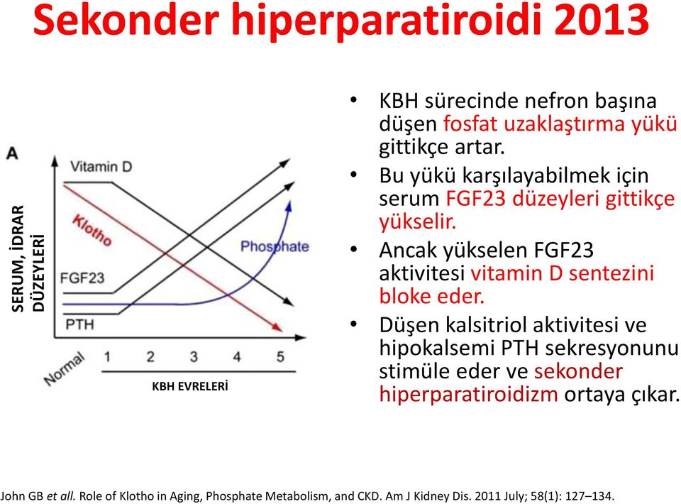 Ancak yükselen FGF23 aktivitesi vitamin D sentezini bloke eder.