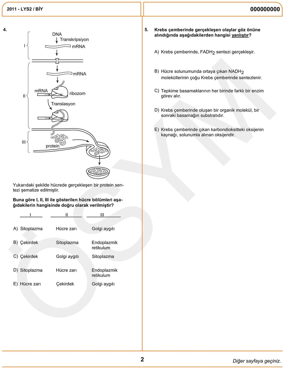 A) B) I II III C) Çekirdek Golgi aygıtı Sitoplazma D) Sitoplazma Hücre zarı Endoplazmik retikulum E) Sitoplazma Hücre zarı Golgi aygıtı Çekirdek Sitoplazma Endoplazmik retikulum Hücre zarı Çekirdek