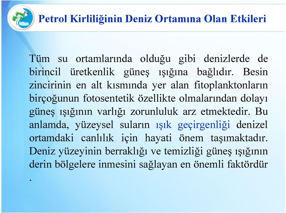 Besin zincirinin en alt kısmında yer alan fitoplanktonların birçoğunun fotosentetik özellikte olmalarından dolayı güneş ışığının