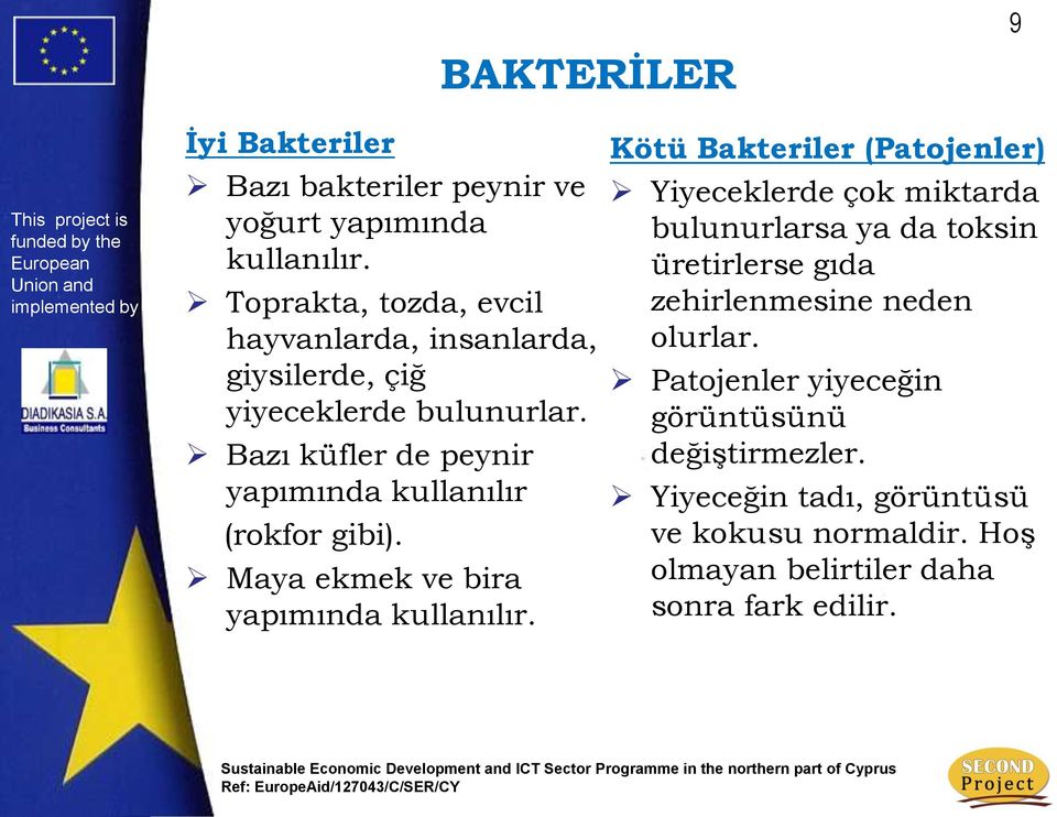 Bazı küfler de peynir yapımında kullanılır (rokfor gibi). Maya ekmek ve bira yapımında kullanılır.