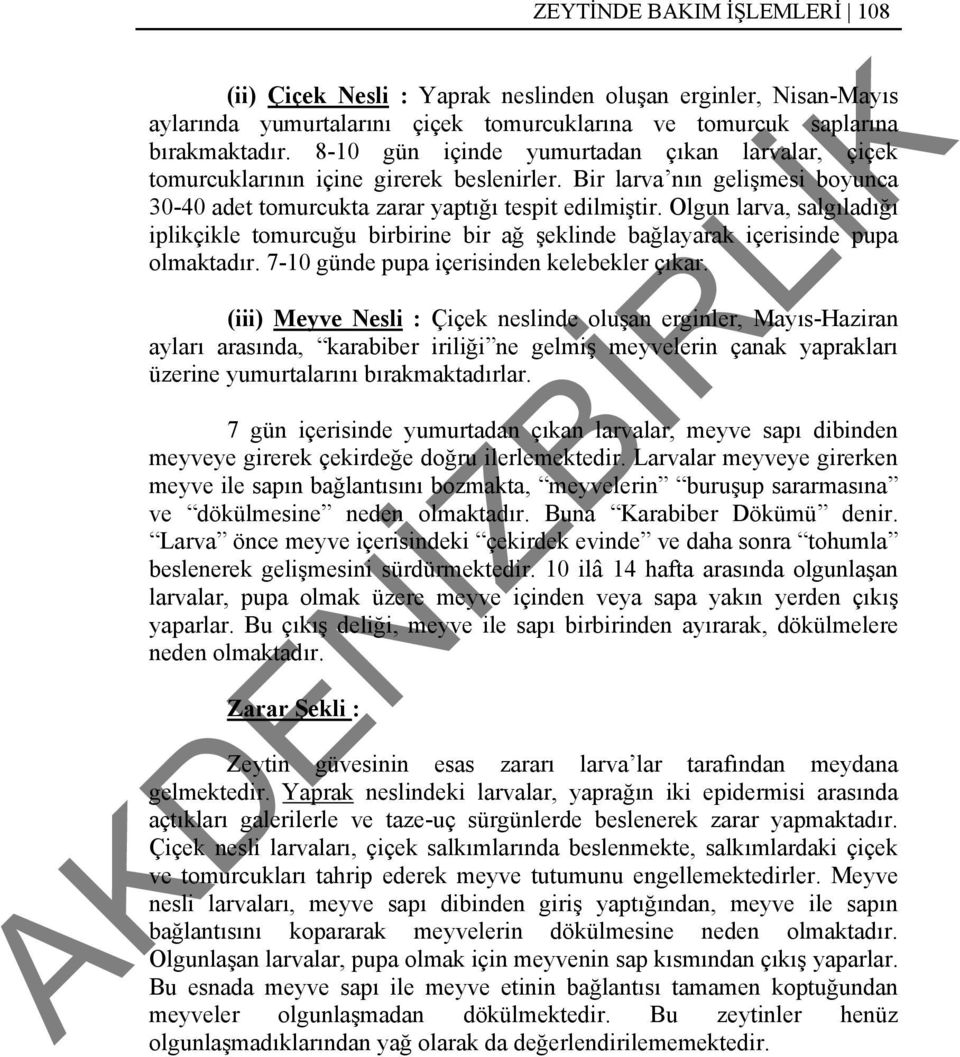 Olgun larva, salgıladığı iplikçikle tomurcuğu birbirine bir ağ şeklinde bağlayarak içerisinde pupa olmaktadır. 7-10 günde pupa içerisinden kelebekler çıkar.