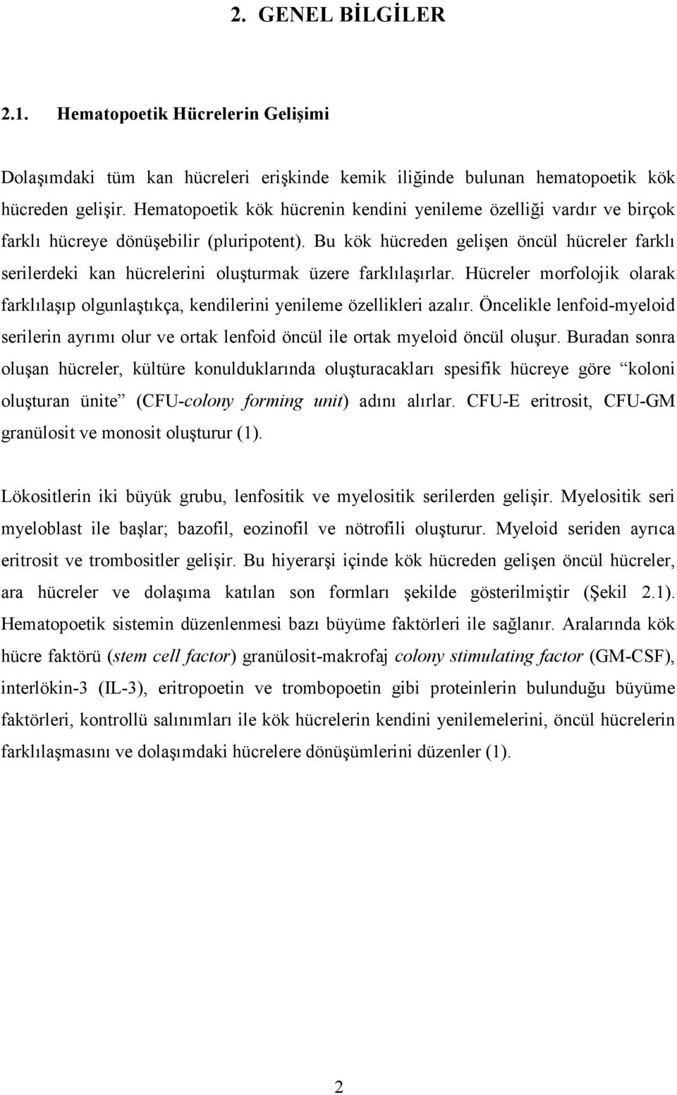 Bu kök hücreden gelişen öncül hücreler farklı serilerdeki kan hücrelerini oluşturmak üzere farklılaşırlar.