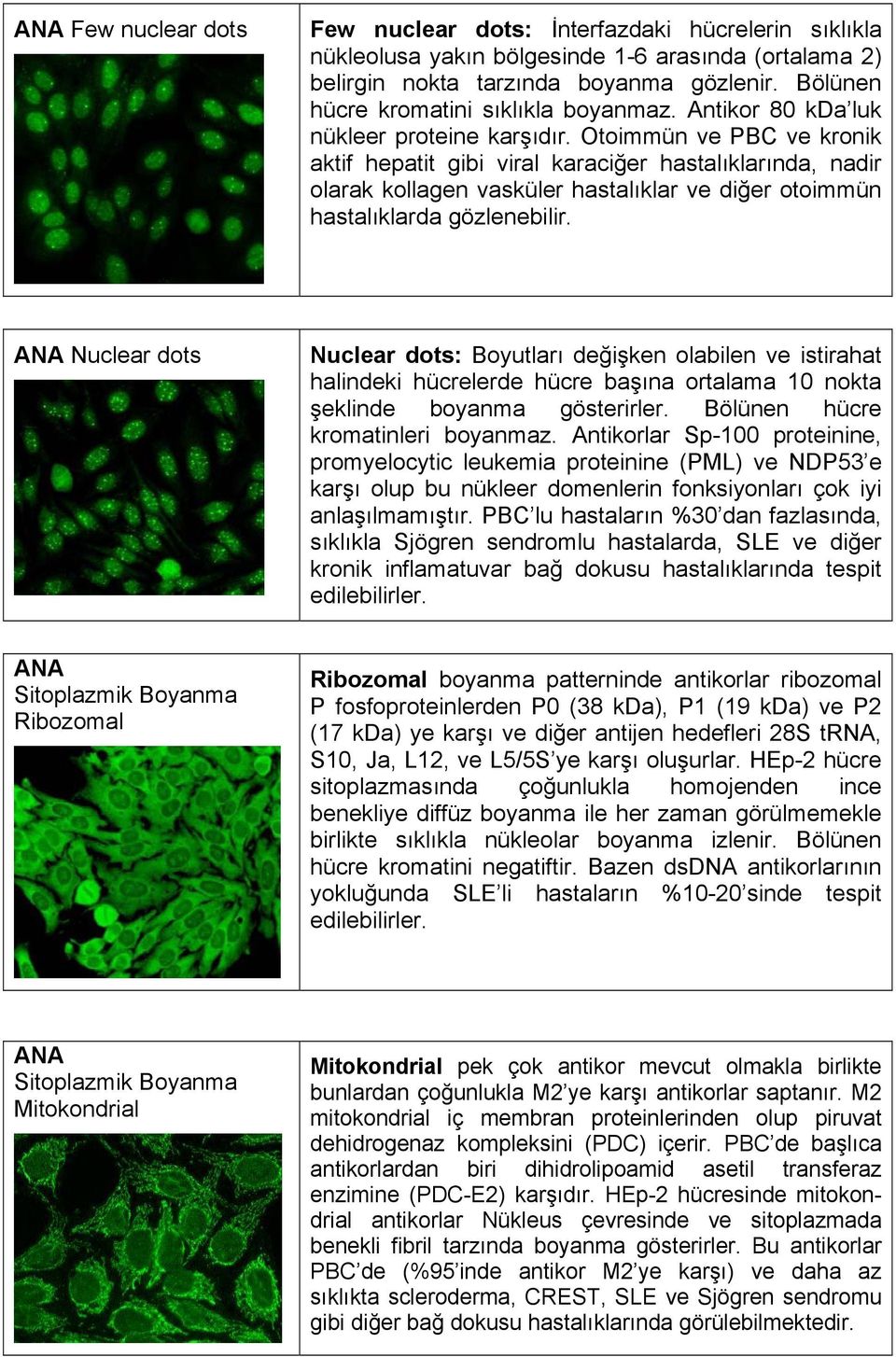 Otoimmün ve PBC ve kronik aktif hepatit gibi viral karaciğer hastalıklarında, nadir olarak kollagen vasküler hastalıklar ve diğer otoimmün hastalıklarda gözlenebilir.