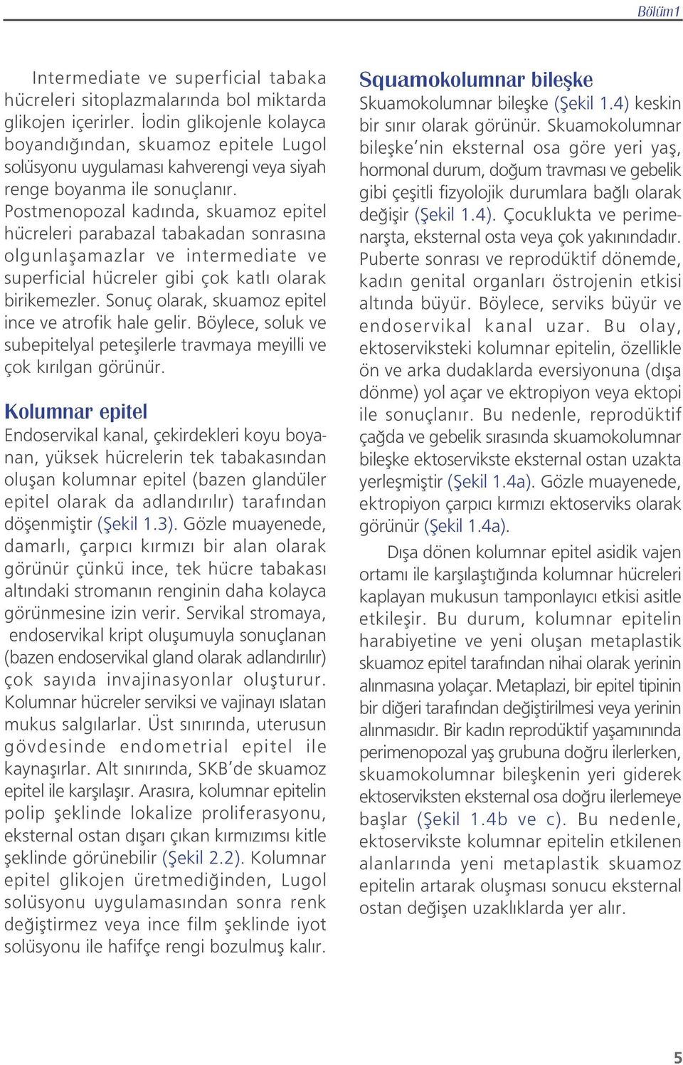 Postmenopozal kad nda, skuamoz epitel hücreleri parabazal tabakadan sonras na olgunlaflamazlar ve intermediate ve superficial hücreler gibi çok katl olarak birikemezler.