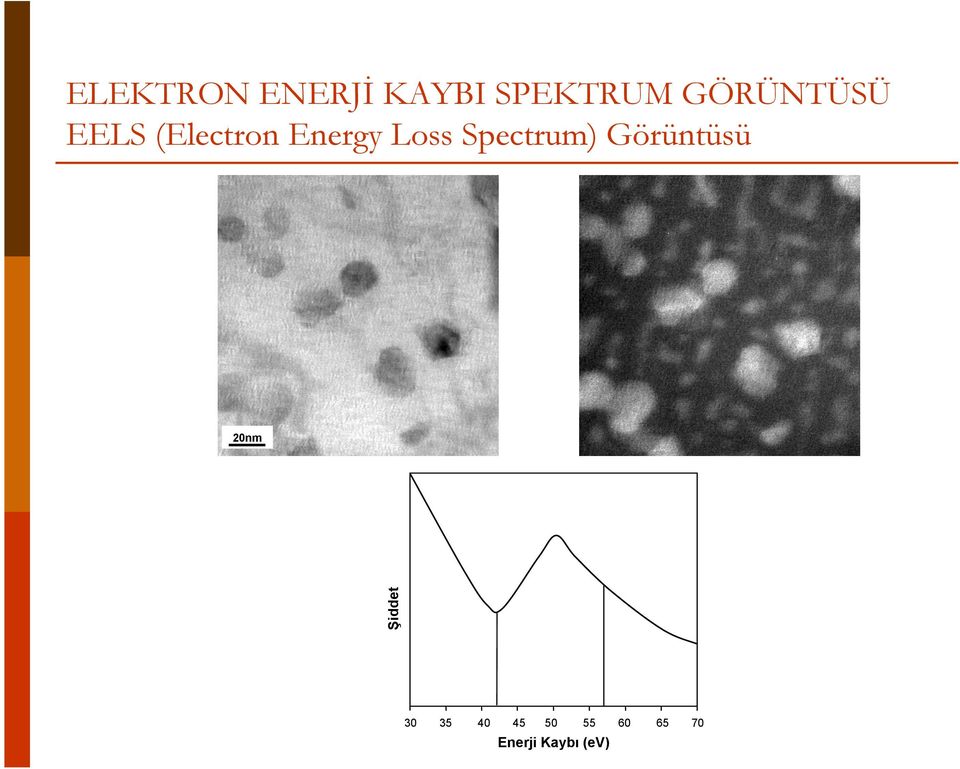 Loss Spectrum) Görüntüsü iddet 20nm